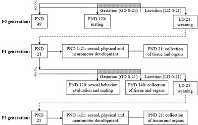 Developmental and Reproductive Outcomes in Male Rats Exposed to Triclosan: Two-Generation Study